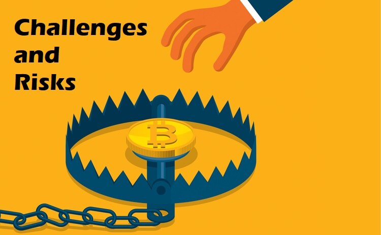 Challenges and Risk 