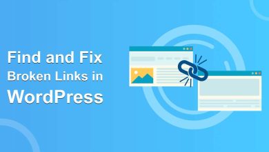 Wordpress Find Broken Links